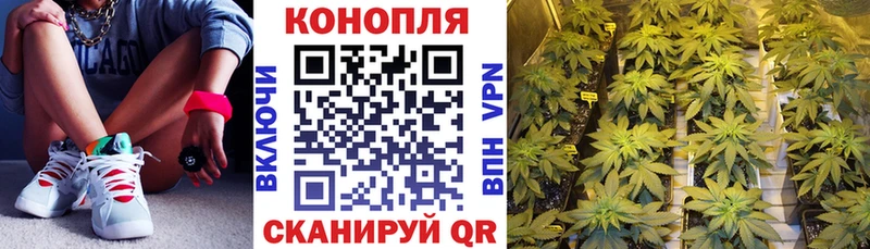 Купить наркоту Камешково СК  Мефедрон  ГАШИШ  Конопля  ГЕРОИН  COCAIN 
