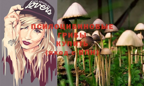 не бодяженный Аркадак