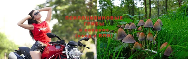 MDMA Premium VHQ Армянск