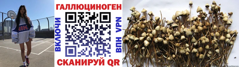 Псилоцибиновые грибы Psilocybe  наркота  Камешково 
